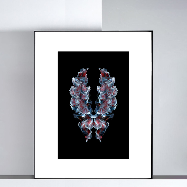 Imago Betta Velours | Tirage 2/8