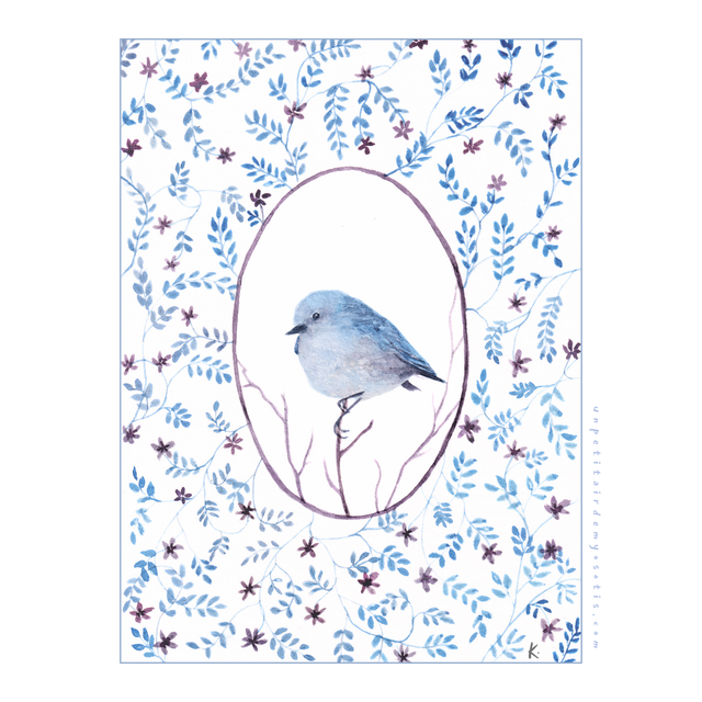 Carte postale Merle bleu