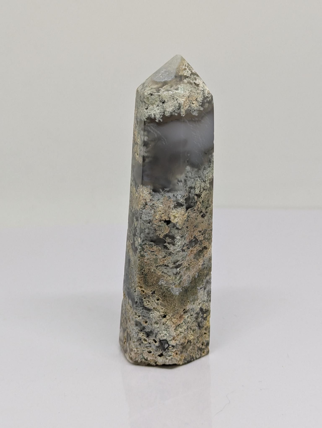  239 Agate Arbre 92gr 