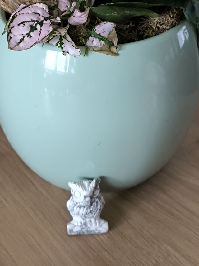 Hibou Howlite