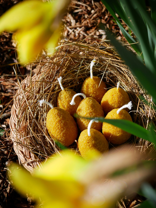 Bougie oeuf fleuri