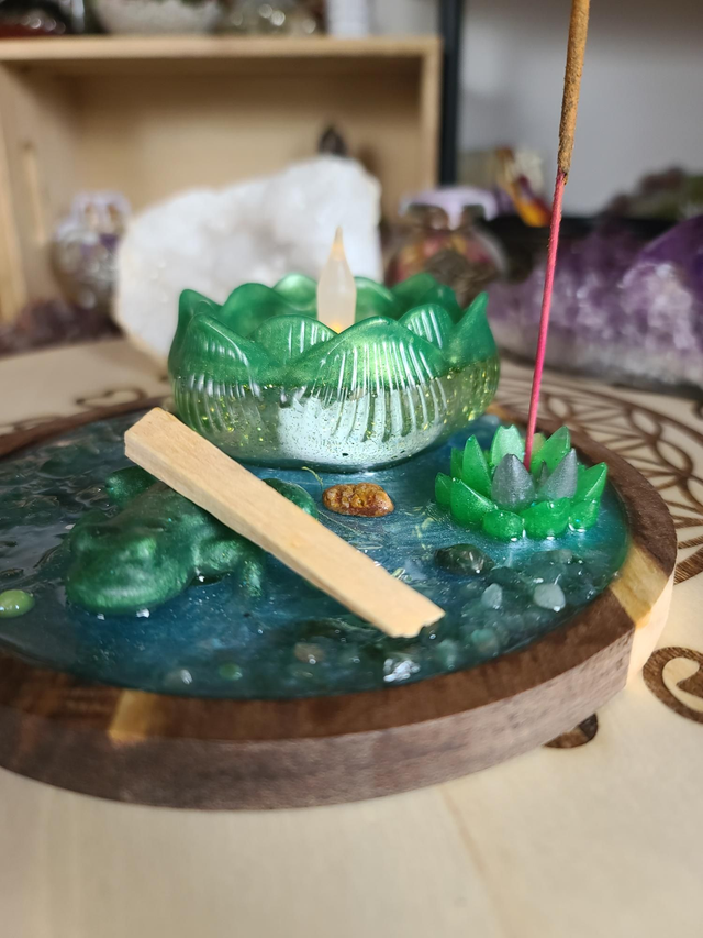 Plateau de fumigation 🐸 Métamorphose de la grenouille rond