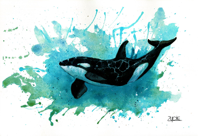 FineArt-Print - Spendenbild: Orca No.3