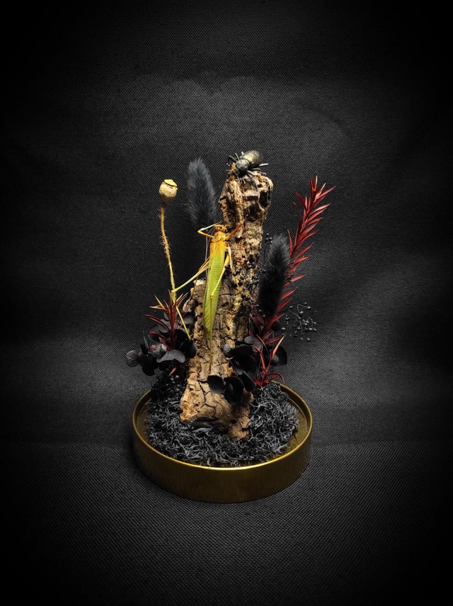 Diorama Duo d&#039;insectes 