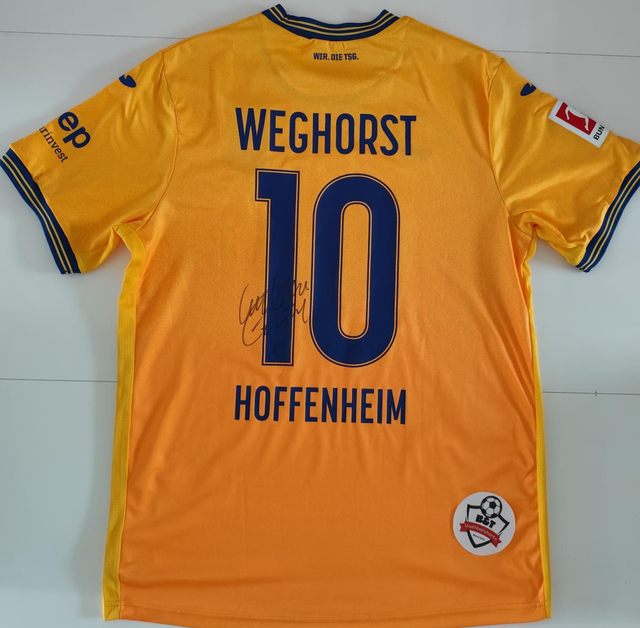 Gesigneerd Wout Weghorst Hoffenheim shirt 