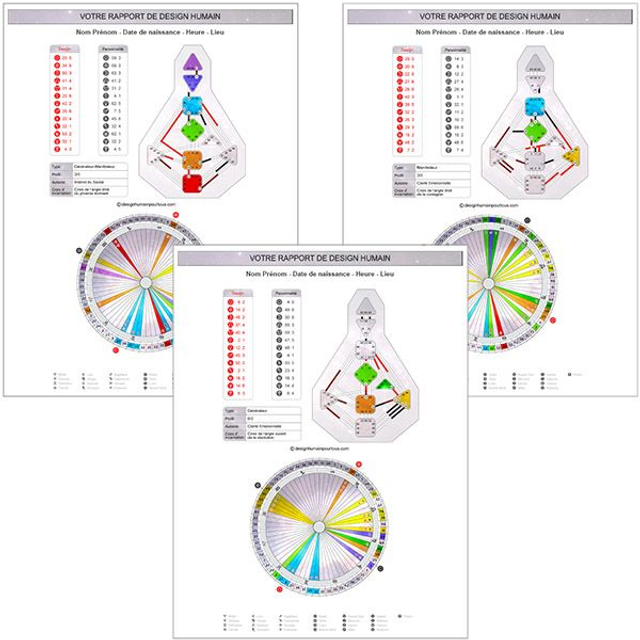 3 rapports individuels de Design Humain 