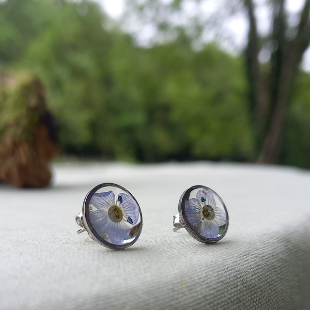 Puces d'oreilles ∙ argenté ∙ Veronica