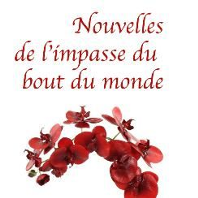 Nouvelles de l'impasse du bout du monde