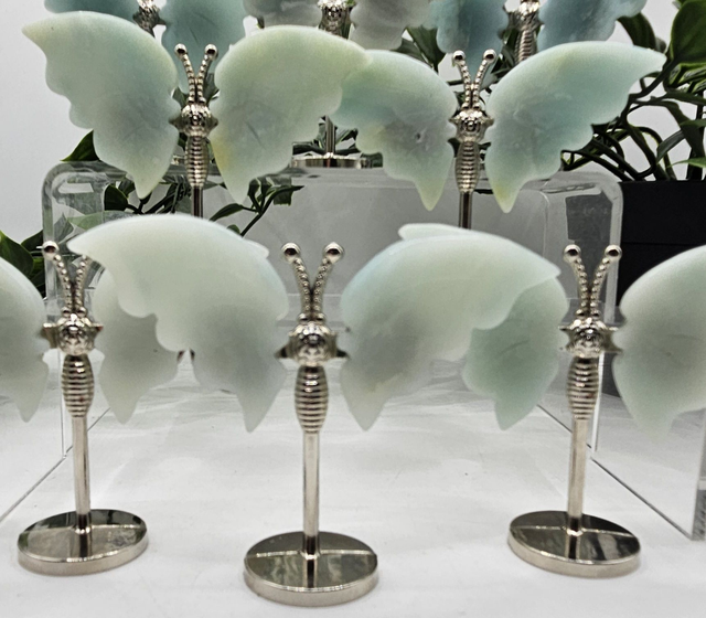 Caribbean Calcite Butterfly