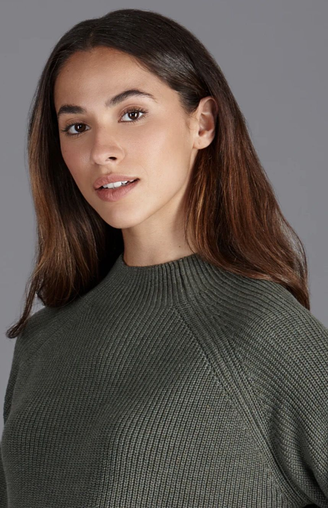 Pure Cotton High Neck Raglan Jumper