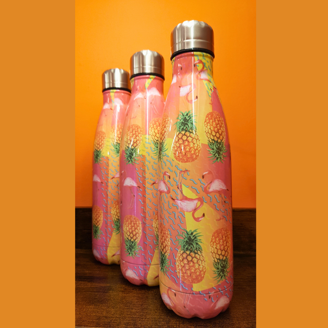 Metal 500ml Reusable Water Bottle - Tropical