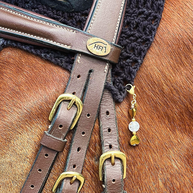 EQUI CHARM GIVRE