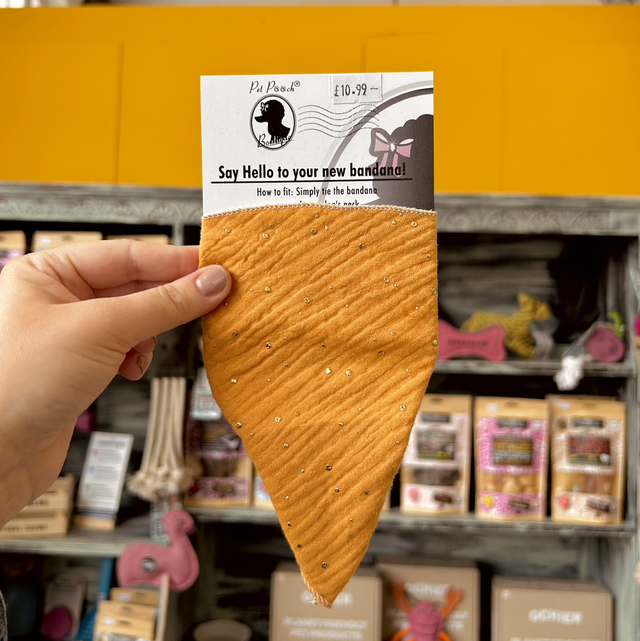 Pet Pooch Boutique Sunshine Yellow &amp; Gold Dog Bandana - Extra Small