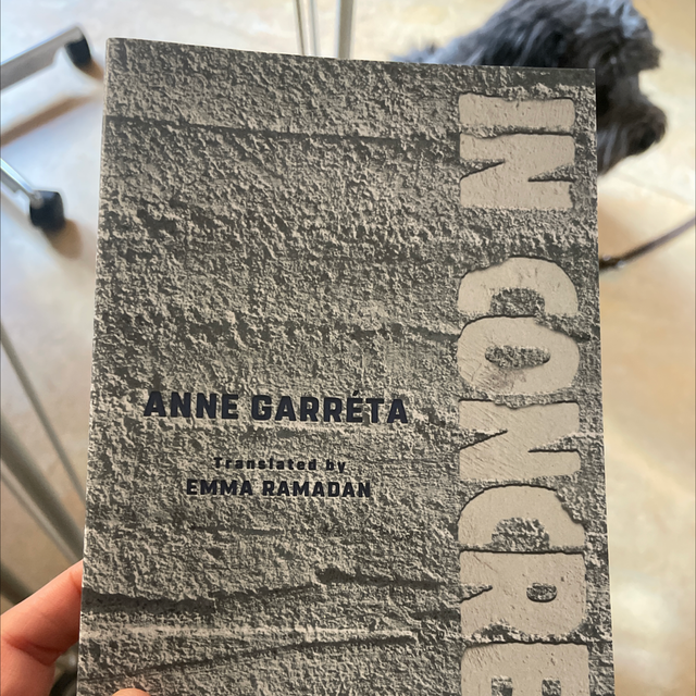 In Concrete Anne Garréta