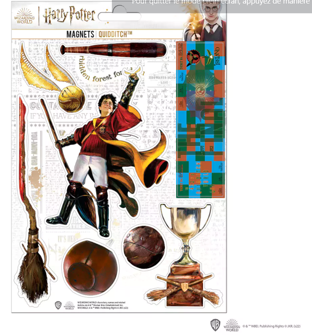 Plaque de 8 magnets mousse Quidditch - Harry Potter