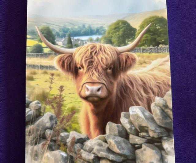 Plain Note Pad Highland Cow by Stone wall
