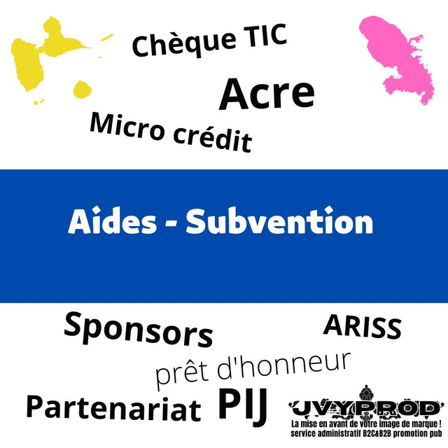 Aides-Subvention (consultation)