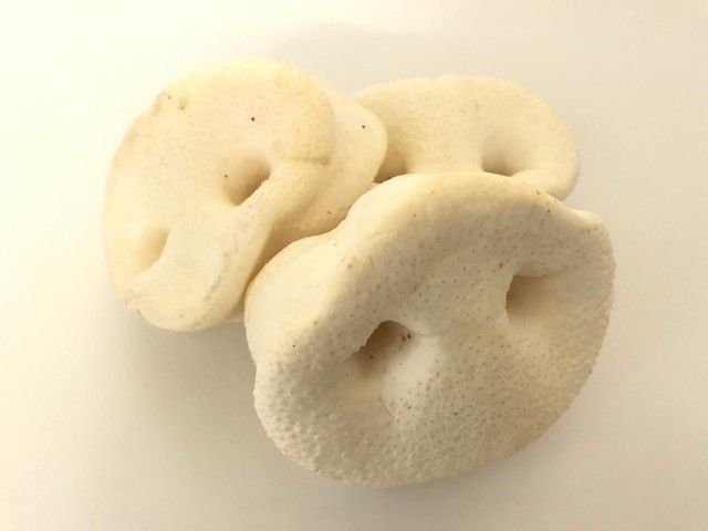 Puffed Pigs Snout