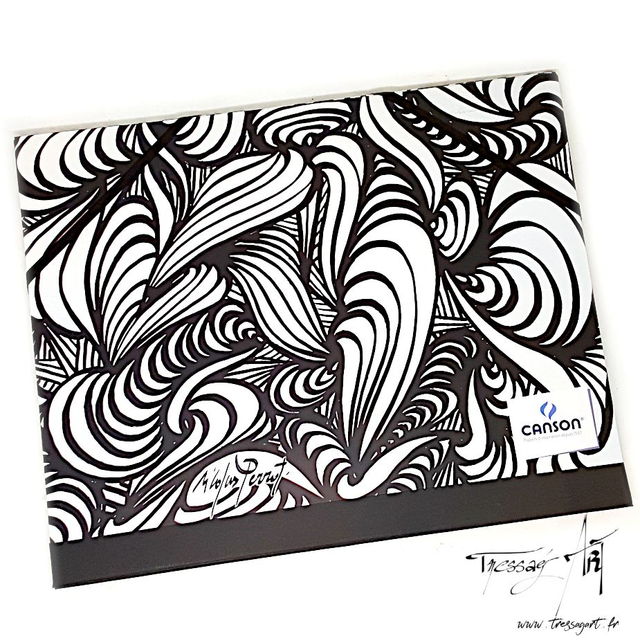 CANSON - CARTON A DESSIN NOIR ET BLANC - CA047
