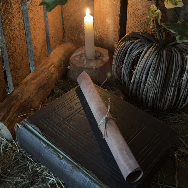 A Message Meant to Find You… 📜