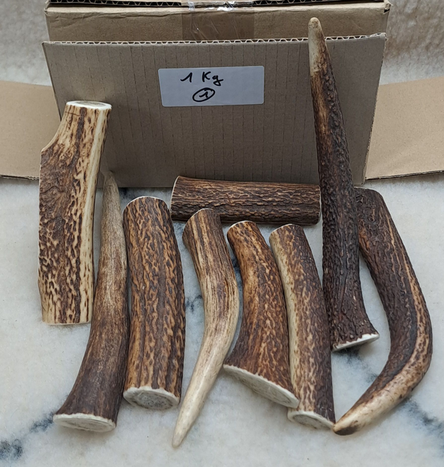 N°1  Bois de Cerf 1 KG