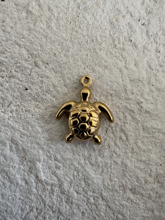 Charm Tortue
