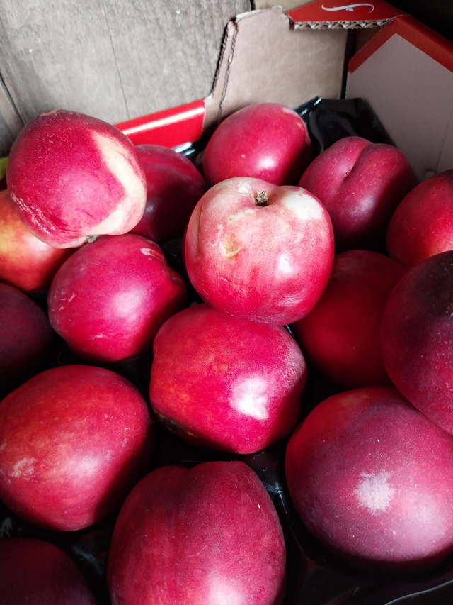 Nectarine 