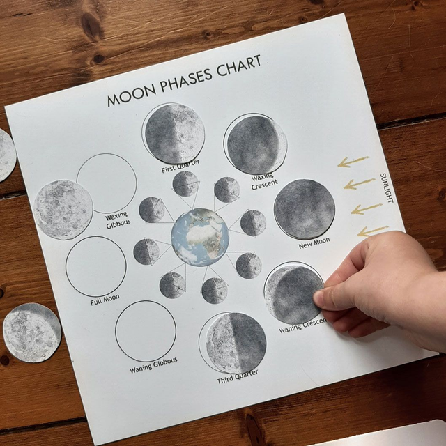 Printable Moon Nature Study Bundle (Digital File)