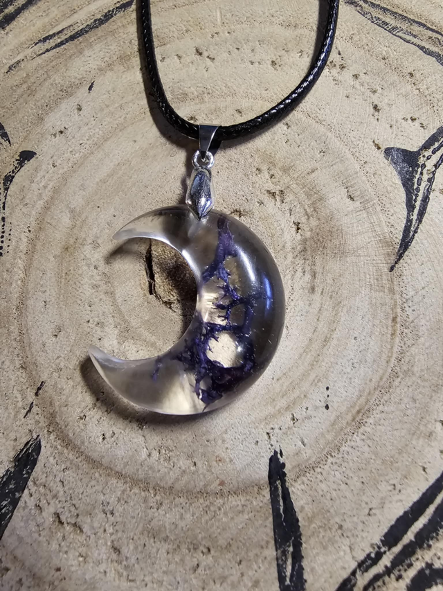 Lune mousse violette d'Islande