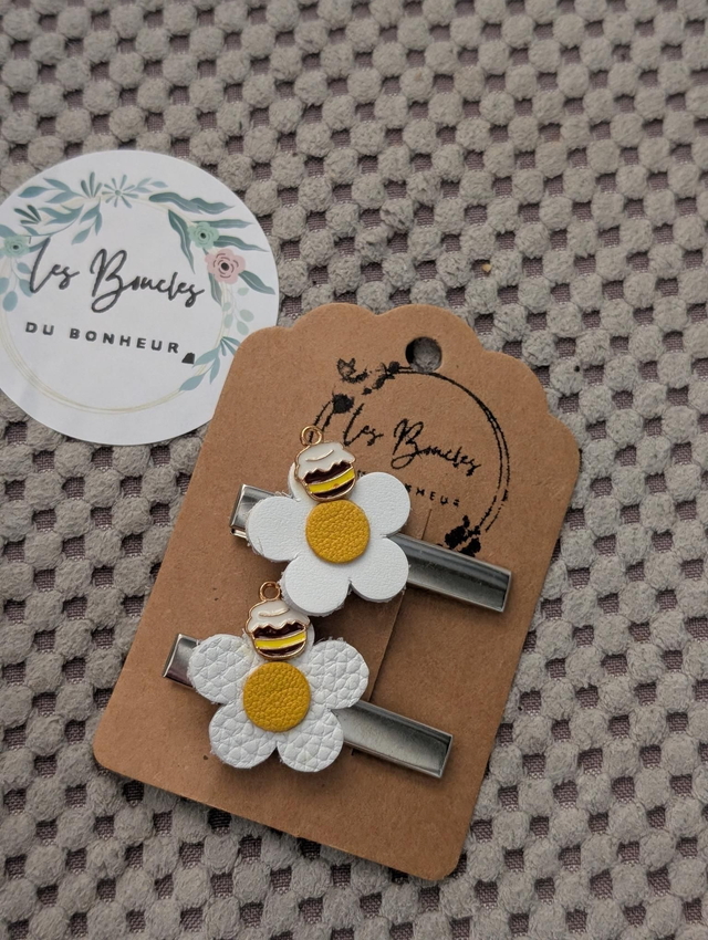 Barrette b055