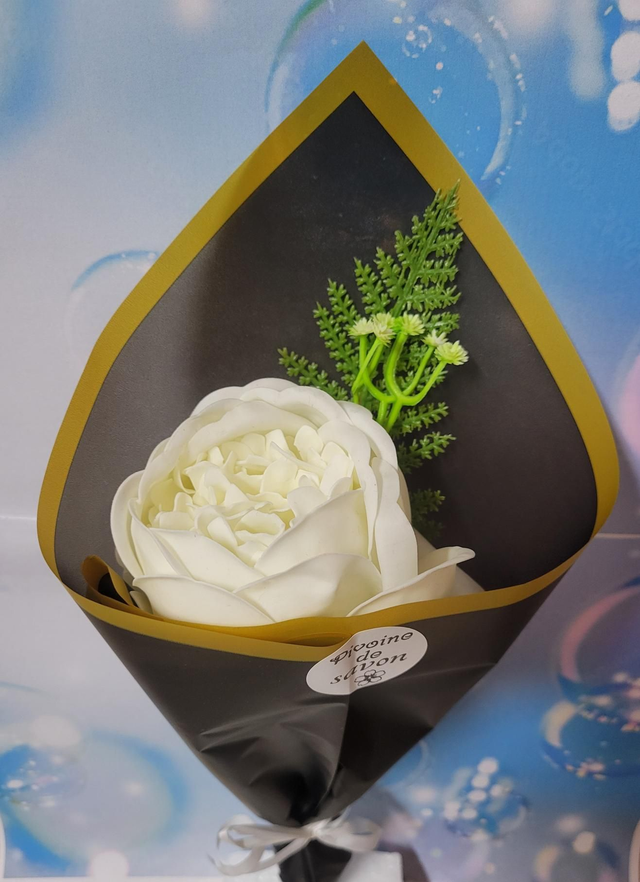 Pivoine de savon blanche