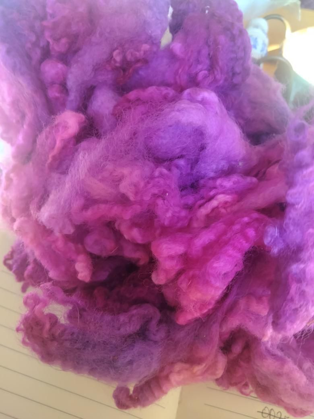 BFL teintée main Toison0031 - 170g