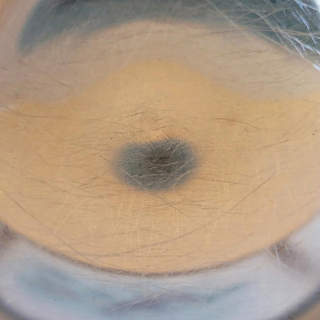 X Coupes champagne ou glace inox vintage années 70-80