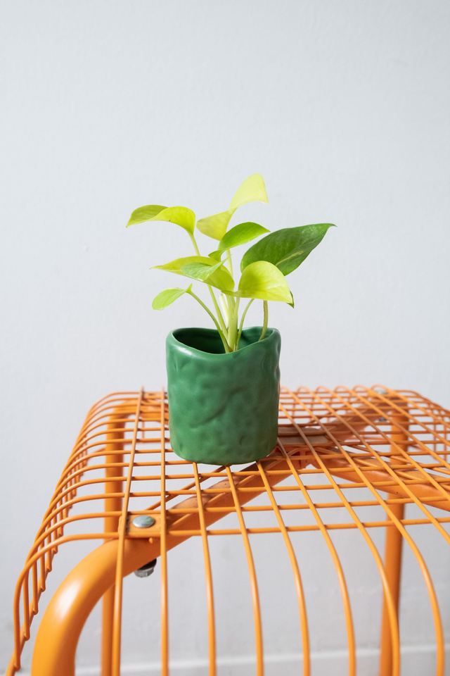 Pot vert kaki 🧩 Mix &amp; Match