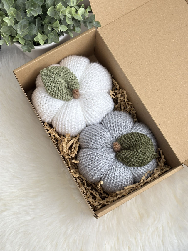 Citrouilles (Lot de 2) 