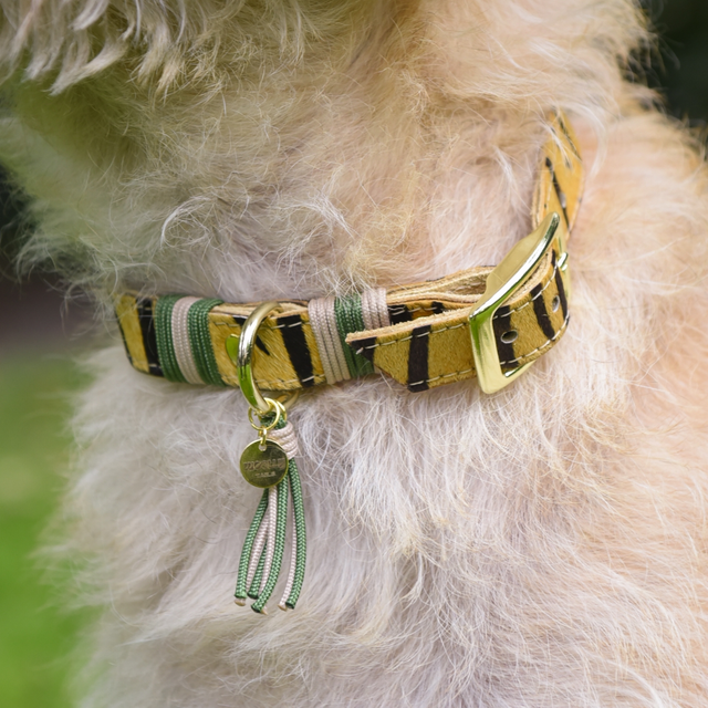 Halsband "Tiger"