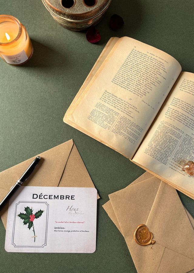 Carte 12. Décembre, le Houx