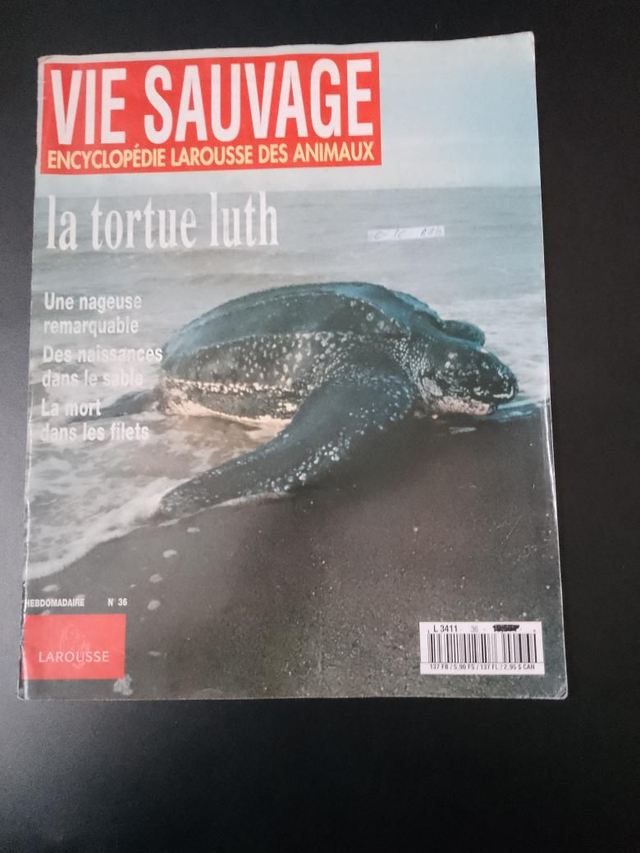 La tortue luth. Vie sauvage