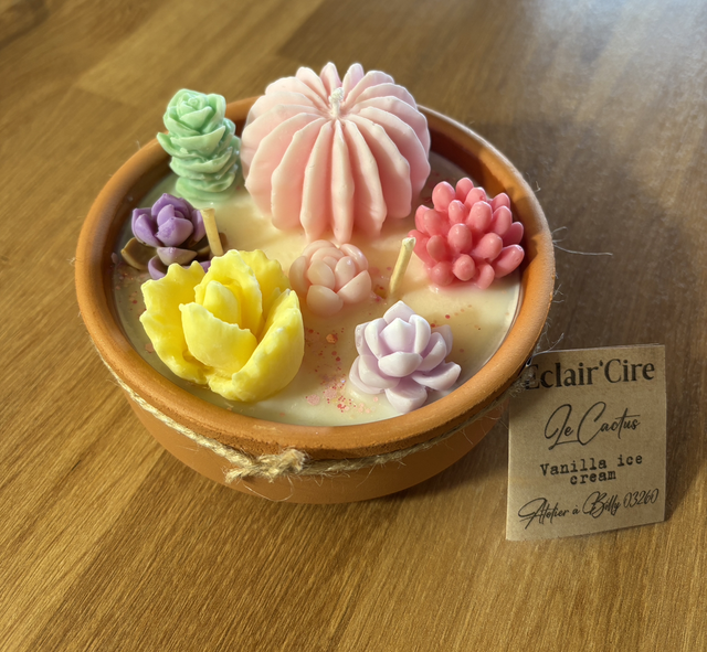 Cactus Vanilla ice cream - 254gr