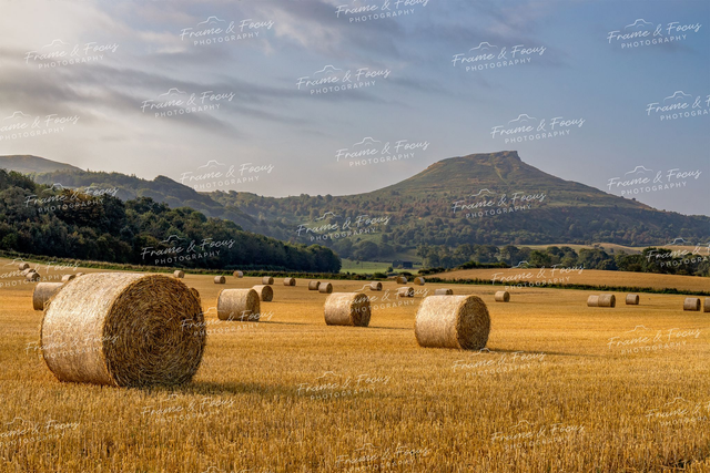 Baled Out, Roseberry Topping