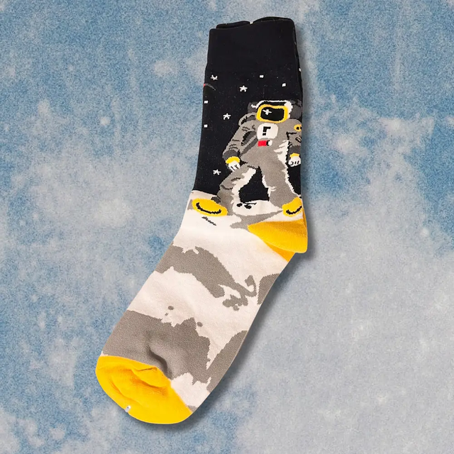 Odd Bod Sox - Outer Space Collection (2) Socks