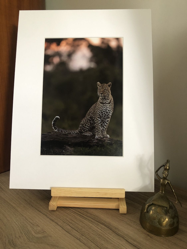 Tirage illimité Léopard 2 avec passe-partout