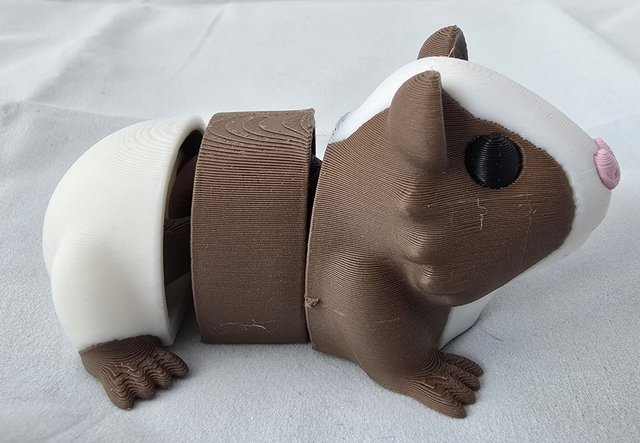 Cochon d'Inde flexible