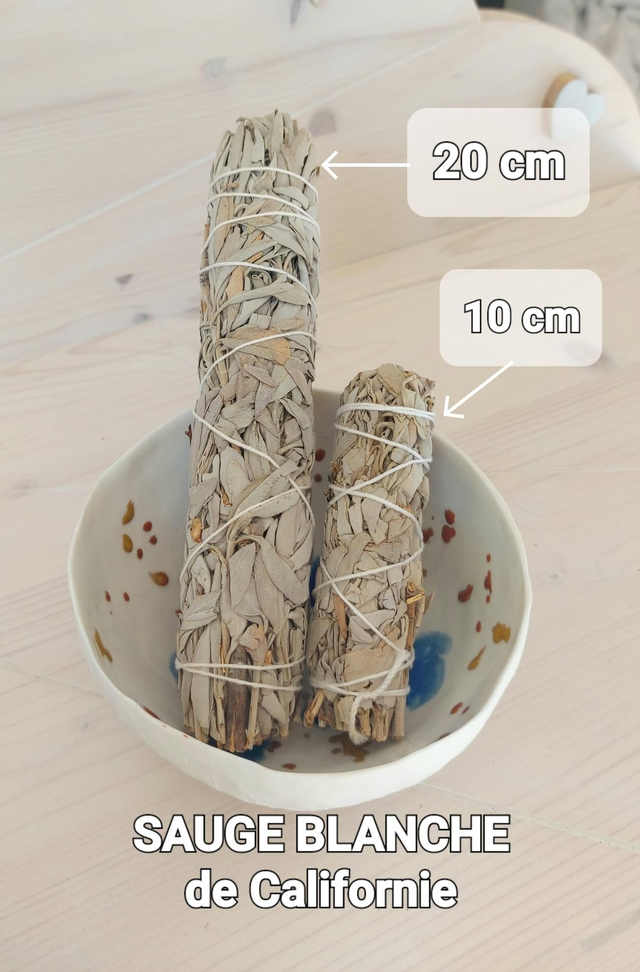 Bâton Sauge Blanche de Californie