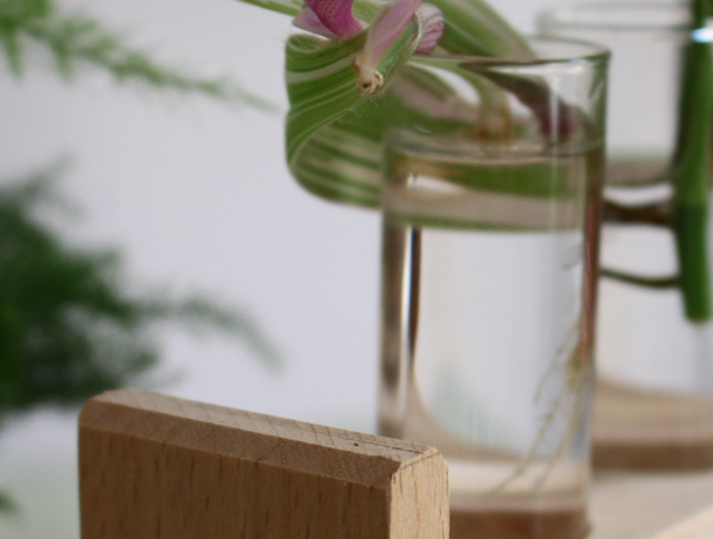 Station de bouturage TRIO