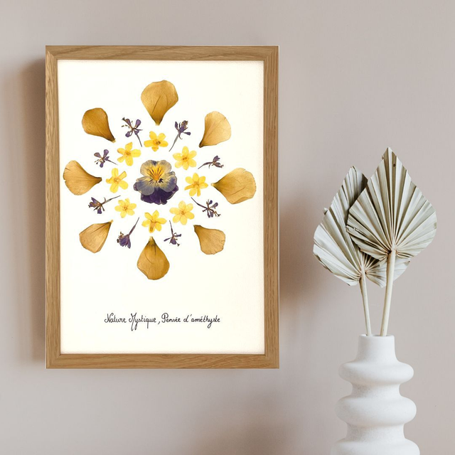 Herbier Pensée d&#039;améthyste