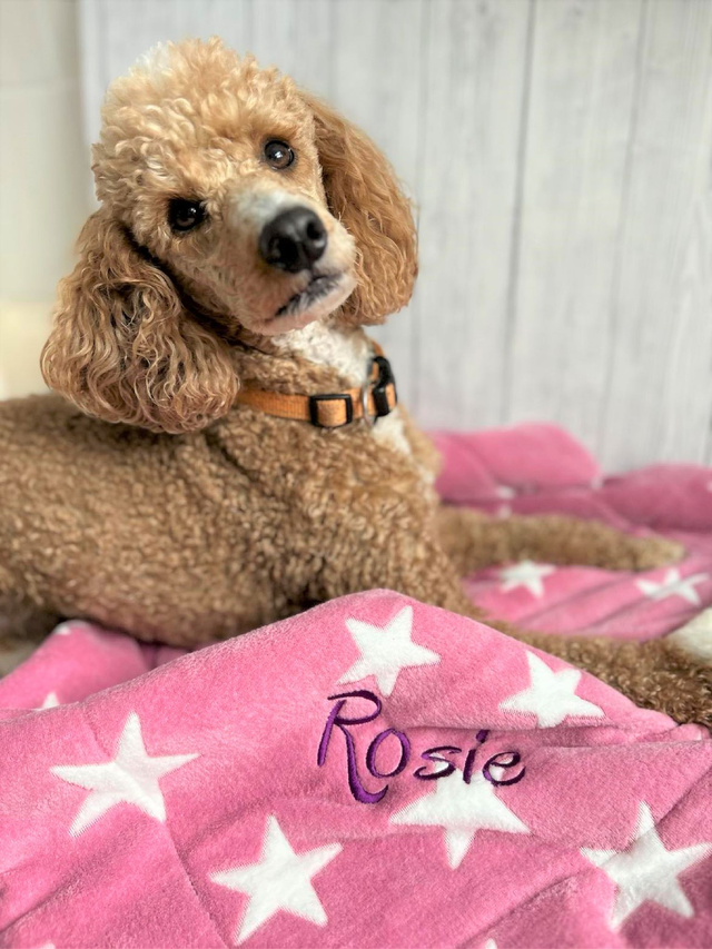 Small Pet Blanket, Dog Blanket, Cat Blanket - can be personalised