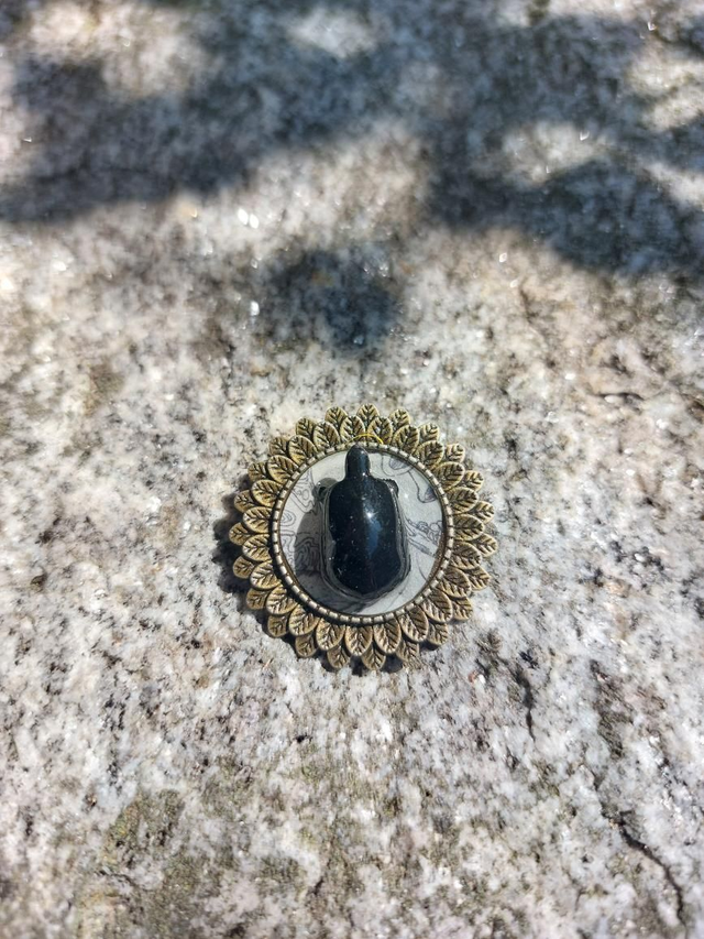 Broche tortue grise