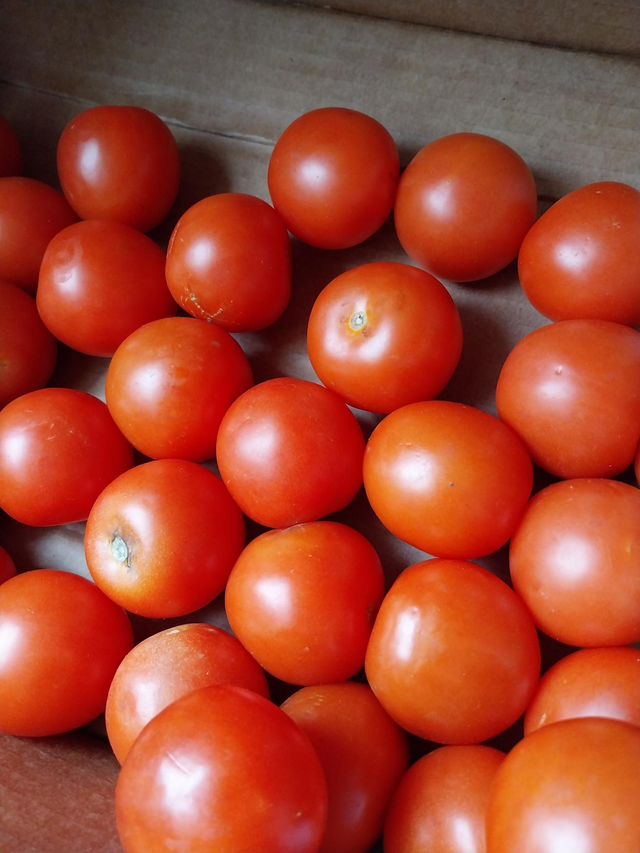 Tomato (Av 115g) each