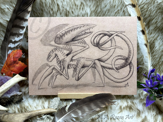 Cancer Crabe Croquis 13X18cm